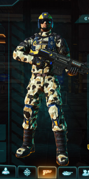 NC Light Assault with Desert Scrub v1 armor camouflage applied.