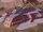July 8, 2021 Hotfix