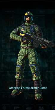 NC Light Assault with Amerish Forest armor camouflage applied.
