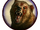 Bear Decal.png