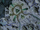 Esamir NW Warpgate GU12.png