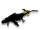 Mosquito Gold Viper Fins.png