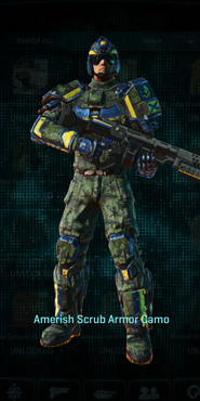 NC Heavy Assault with Amerish Scrub armor camouflage applied.