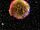 SN 1572.jpg