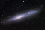 Southern Cigar Galaxy