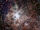 Tarantula Nebula.jpg