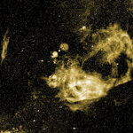 Vela Supernova Remnant