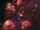 Cat's Paw Nebula.jpg