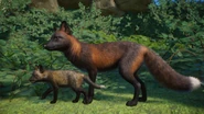 Crossmelanistic fox.png (912 KB) Partially Melanistic (Cross) Red Fox