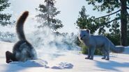 The Arctic Fox first revealed in the Road Trip Event
