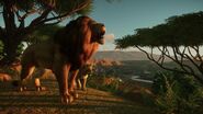 West African Lion | Planet Zoo Wiki | Fandom