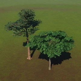 ScratchingTrees