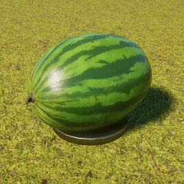 MelonFeeder