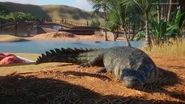 Screenshot (227).png (3.36 MB) Base Saltwater Crocodile