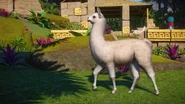 Llama2 (2).jpg (235 KB)
