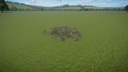 Plants Moss Caribou 2m 01