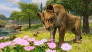 Lionsniffingflowers.jpg (655 KB) A lioness engaging in flower sniffing, a new mechanic brought into the game with the 1.10 update