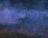 Redfoxtease.png (109 KB) First tease for the Red Fox