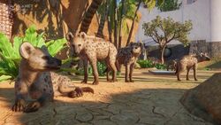 Spotted Hyena | Planet Zoo Wiki | Fandom