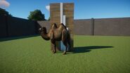 Bactrian Camel | Planet Zoo Wiki | Fandom