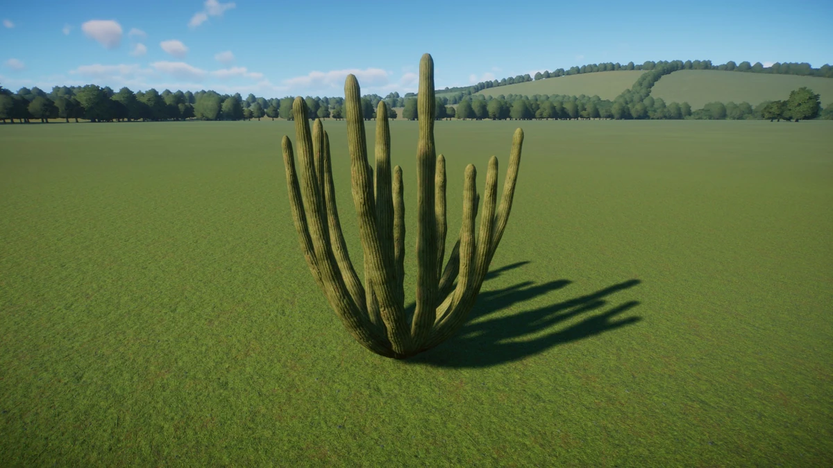 Organ Pipe Cactus Zoo Wiki Fandom