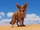 Fennec Fox