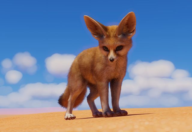 b baby fennec fox