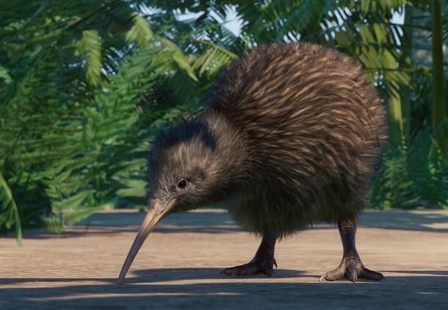 North Island Brown Kiwi | Planet Zoo Wiki | Fandom