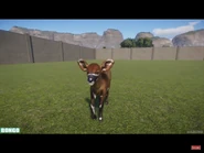 43C7952A-662C-4010-973E-EC8B71A9FED8.png (7.69 MB)