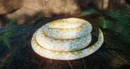 AlbinoAnaconda.png (719 KB) Albino Yellow Anaconda