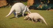 Albino aardvark.png (682 KB) Albino Aardvark