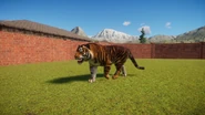 Psmst1.jpg (512 KB) Pseudo-Melanistic Siberian Tiger