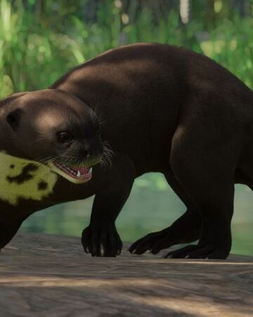 Giant Otter Planet Zoo Wiki Fandom