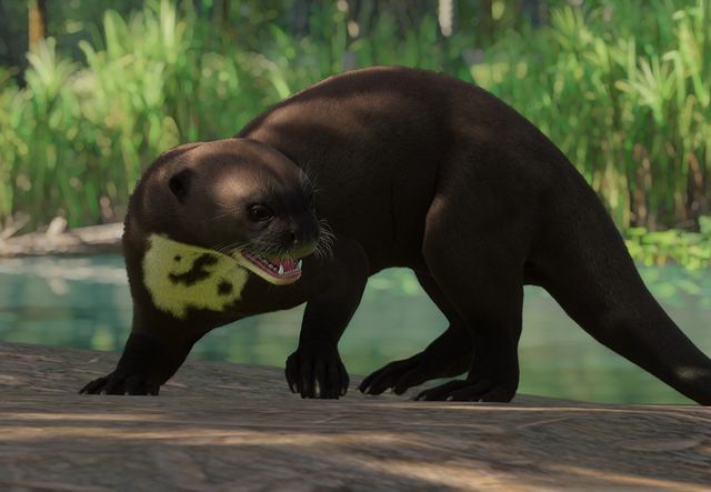 Giant Otter Planet Zoo Wiki Fandom