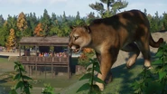 NAAPSteamCougar.jpg (68 KB)