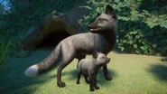 Silvermelanistic fox.png (847 KB) Melanistic (Silver) Red Fox