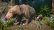 AlbinoSlothBear.png (1.04 MB) Albino Sloth Bear