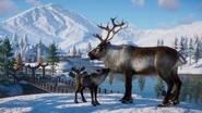 Reindeer official.jpg (162 KB) Base Reindeer
