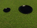 Food Bowl