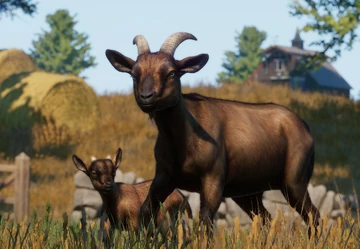 g.o.a.t 2周年 限定 one little planet Poh Alpine Goat | Planet Zoo Wiki | Fandom