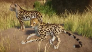 KingCheetah.png (1,020 KB) King Cheetah