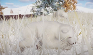 Polar bear cub sleeps next to mom