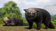 Initial Binturong design