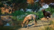Piebald Nyalas introduced in the 1.11 update