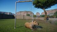 A capybara relaxing under a large hot water pipe