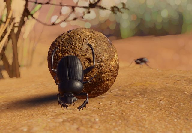 Country diary: the sacred giants of the dung-beetle world, Insects