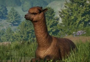 Alpaca zoopedia.png (731 KB) Base Alpaca