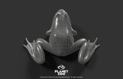 American Bullfrog | Planet Zoo Wiki | Fandom American Bullfrog | Planet Zoo Wiki | Fandom