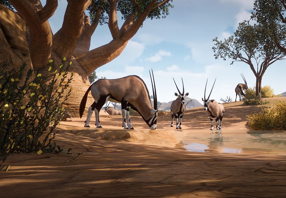 Gemsbok | Planet Zoo Wiki | Fandom