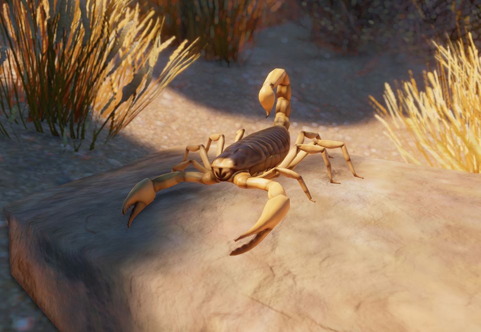 Giant Desert Hairy Scorpion | Planet Zoo Wiki | Fandom